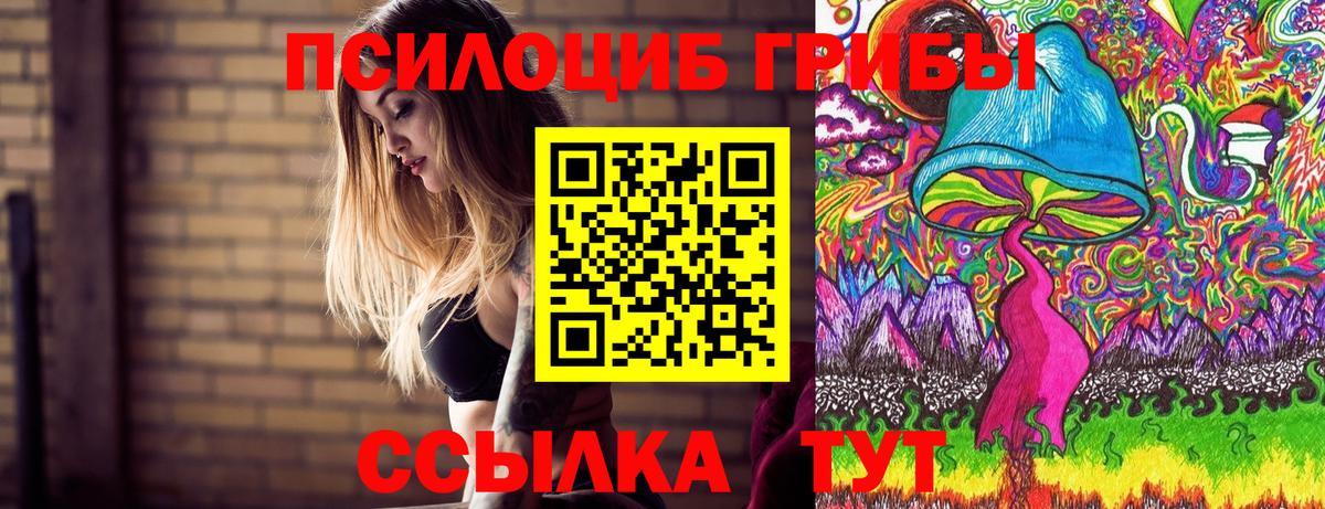 Псилоцибиновые грибы Psilocybine cubensis Серпухов