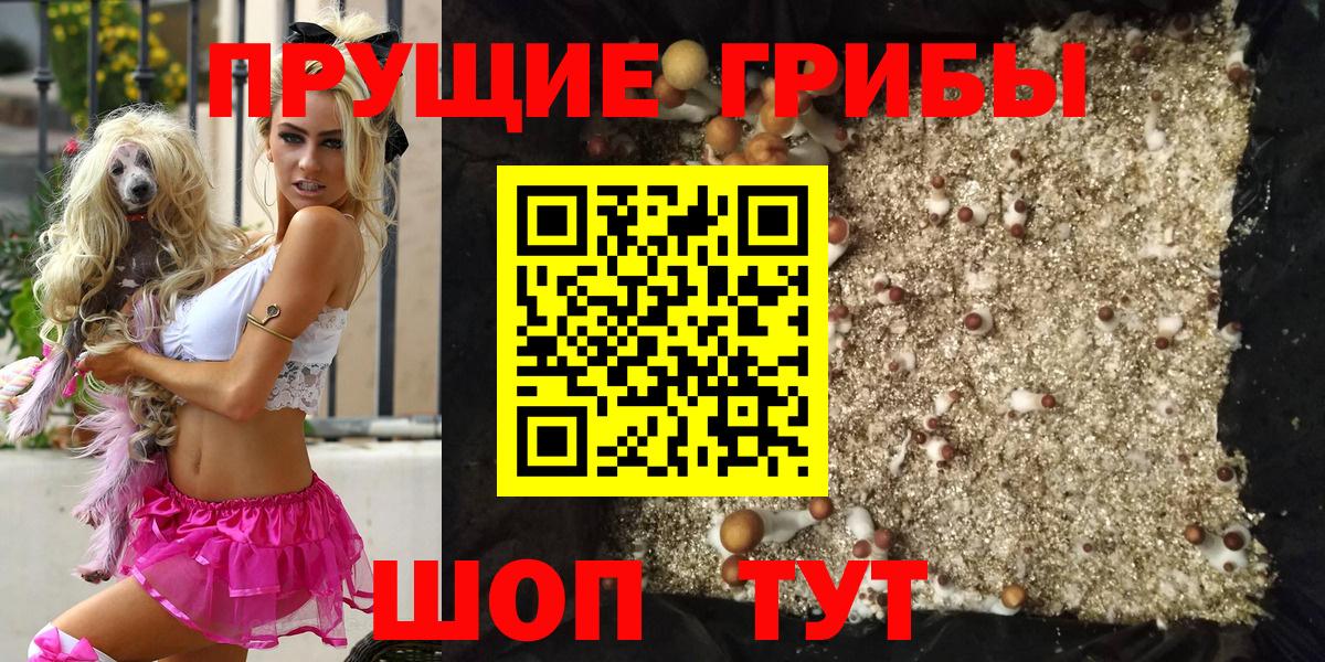 Серпухов  Псилоцибиновые грибы мухоморы  купить наркотик  Вход с VPN 